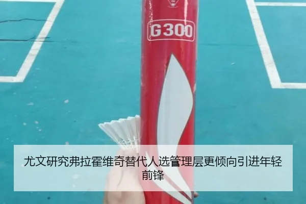 尤文研究弗拉霍维奇替代人选管理层更倾向引进年轻前锋